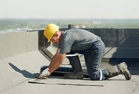 Best Roof Insulation Installation  in Rogers, MN